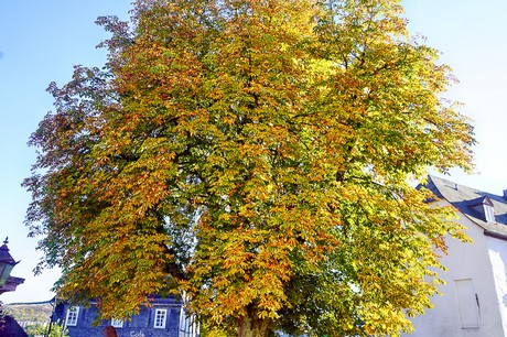 Bad Berleburg